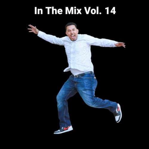 In The Mix Vol. 14