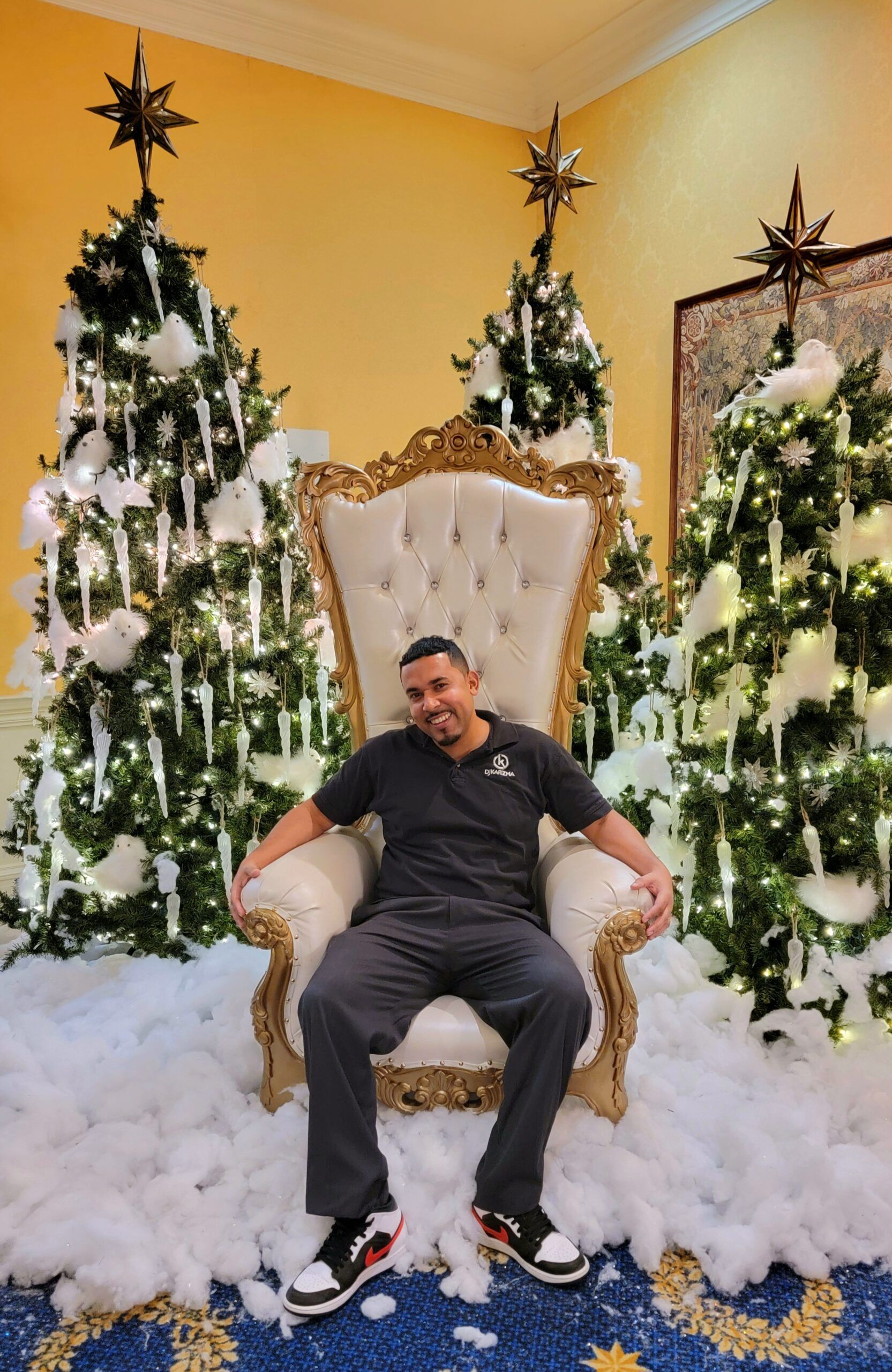 Corporate Holiday Party DJ. Corporate Holiday Party Event DJ Photobooth Military MC Lighting Dance Interactive Fun Virginia